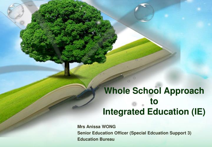whole school approach to integrated education ie
