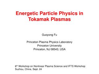 Energetic Particle Physics in Tokamak Plasmas