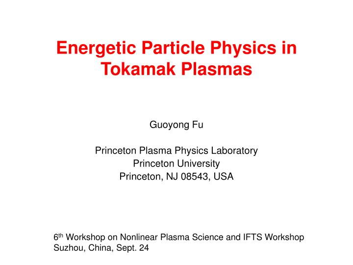 energetic particle physics in tokamak plasmas