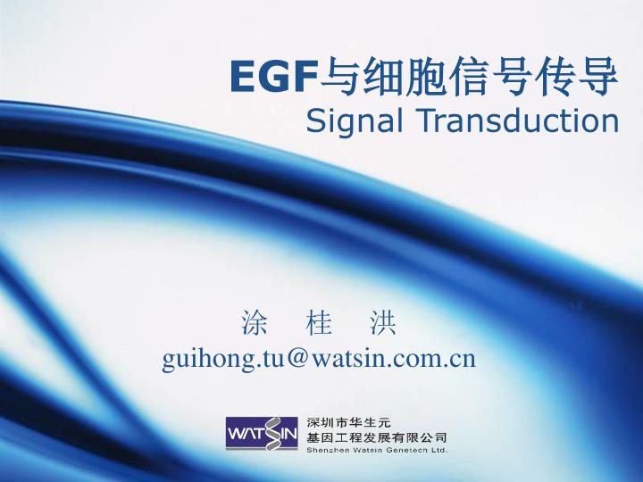 egf signal transduction