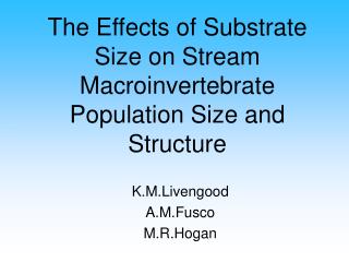 The Effects of Substrate Size on Stream Macroinvertebrate Population Size and Structure