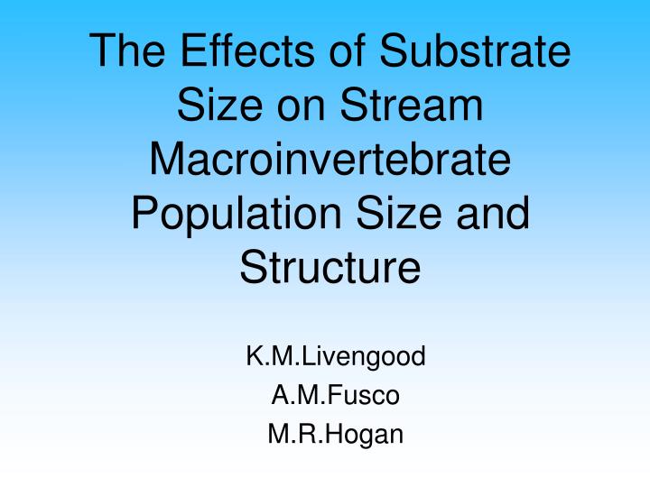 the effects of substrate size on stream macroinvertebrate population size and structure