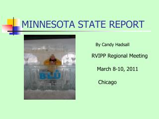 MINNESOTA STATE REPORT