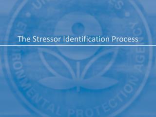 The Stressor Identification Process