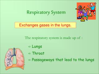 Respiratory System