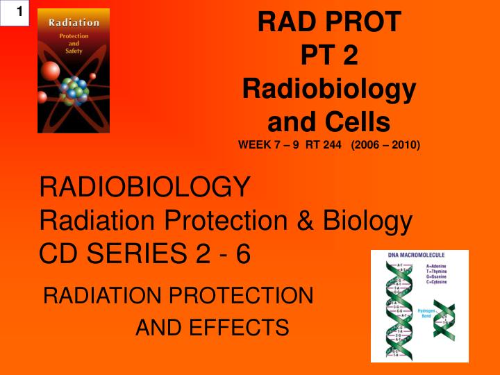 rad prot pt 2 radiobiology and cells week 7 9 rt 244 2006 2010