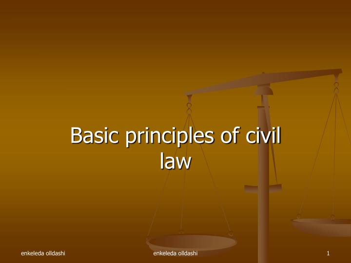 basic principles of civil law