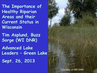 The Importance of Healthy Riparian Areas and their Current Status in Wisconsin