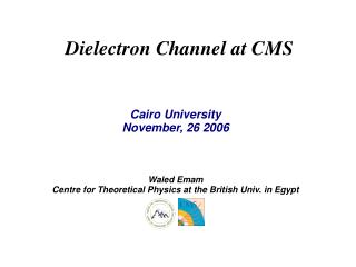 Dielectron Channel at CMS