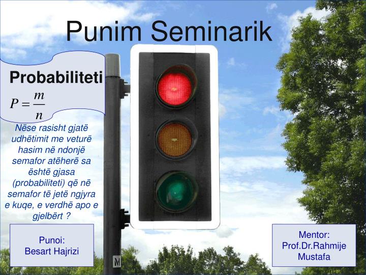 punim seminarik