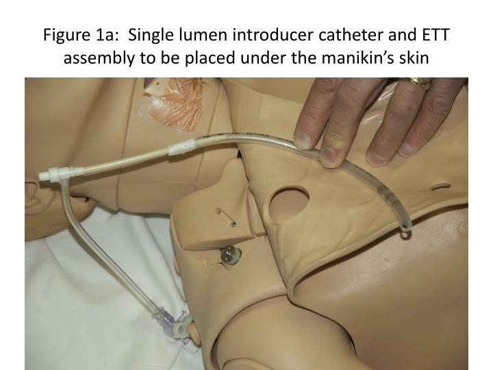 figure 1a single lumen introducer catheter and ett assembly to be placed under the manikin s skin