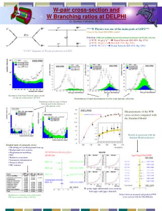 W-pair cross-section and W Branching ratios at DELPHI G. Gomez-Ceballos (M.I.T.)