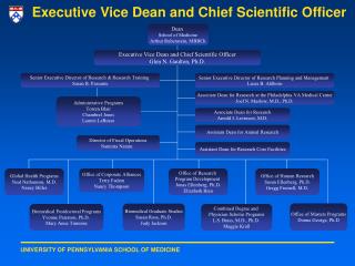 Executive Vice Dean and Chief Scientific Officer
