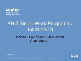 PHO Single Work Programme for 2012/13