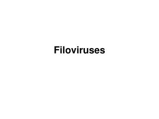 Filoviruses