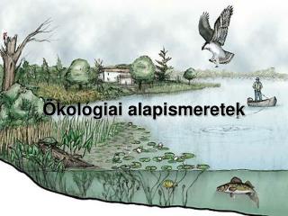 kol giai alapismeretek