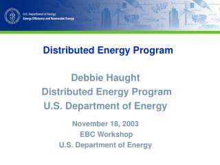 Distributed Energy Program