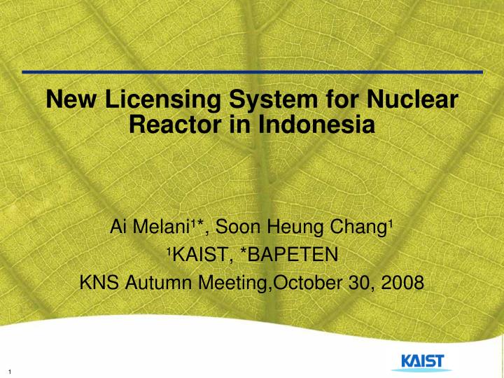 new licensing system for nuclear reactor in indonesia