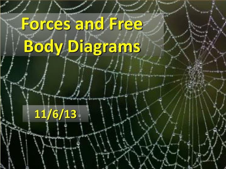 forces and free body diagrams