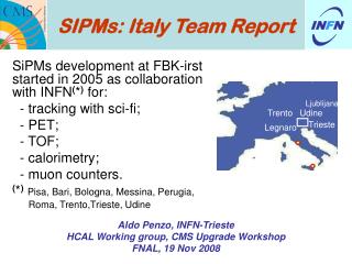 SIPMs: Italy Team Report