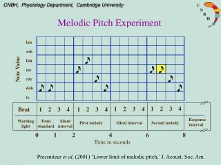 Melodic Pitch Experiment