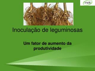 inocula o de leguminosas