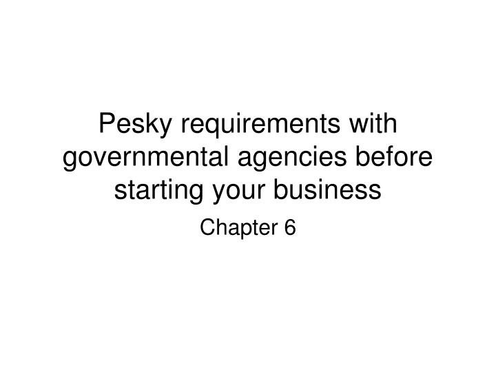 pesky requirements with governmental agencies before starting your business