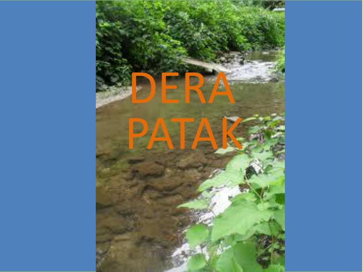 patak