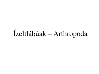 zeltl b ak arthropoda