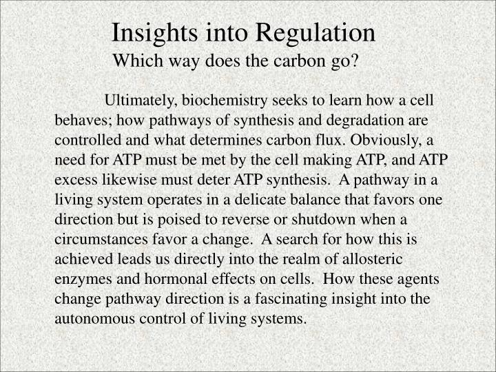 insights into regulation