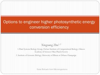 Options to engineer higher photosynthetic energy conversion efficiency