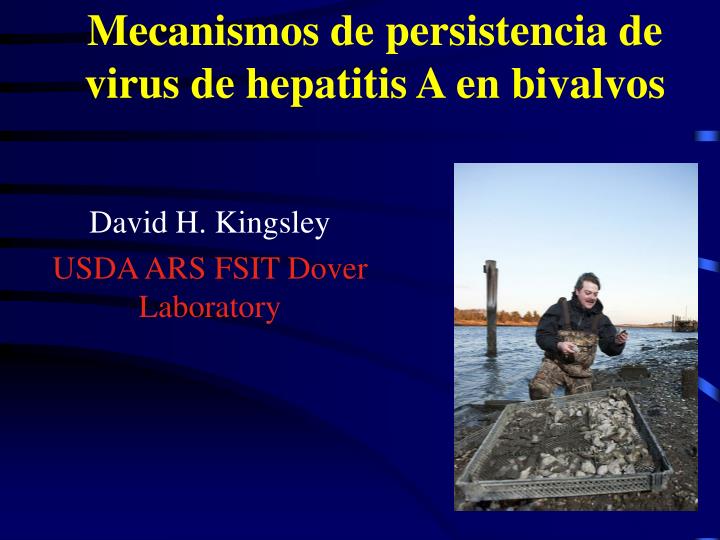 mecanismos de persistencia de virus de hepatitis a en bivalvos