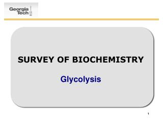 SURVEY OF BIOCHEMISTRY Glycolysis