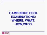 CAMBRIDGE ESOL EXAMINATIONS: WHERE, WHAT, HOW,WHY?