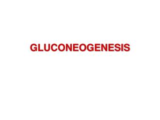 GLUCONEOGENESIS