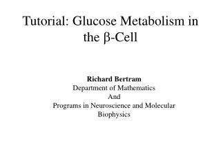 Tutorial: Glucose Metabolism in the b -Cell