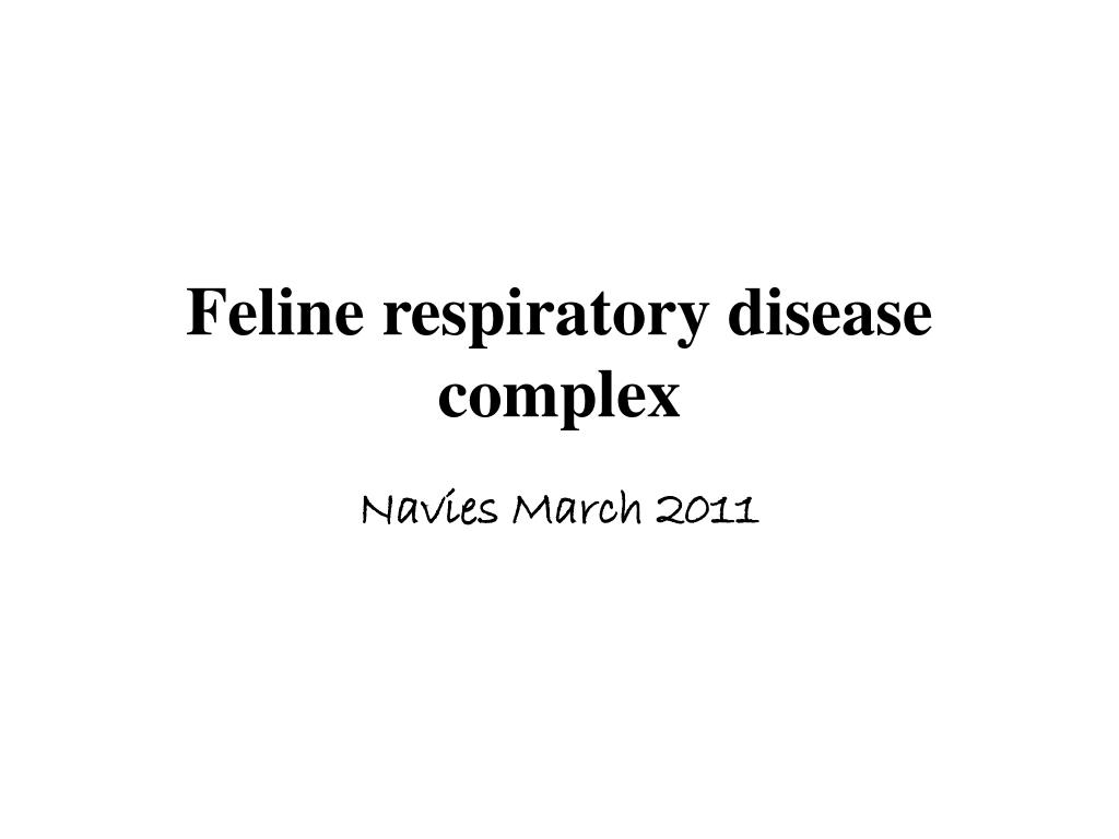 Picture of PPT - Feline respiratory disease complex PowerPoint Presentation, free ...