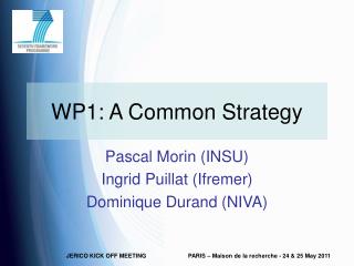 WP1: A Common Strategy