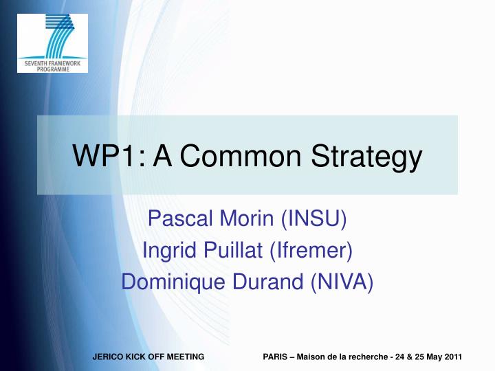 wp1 a common strategy