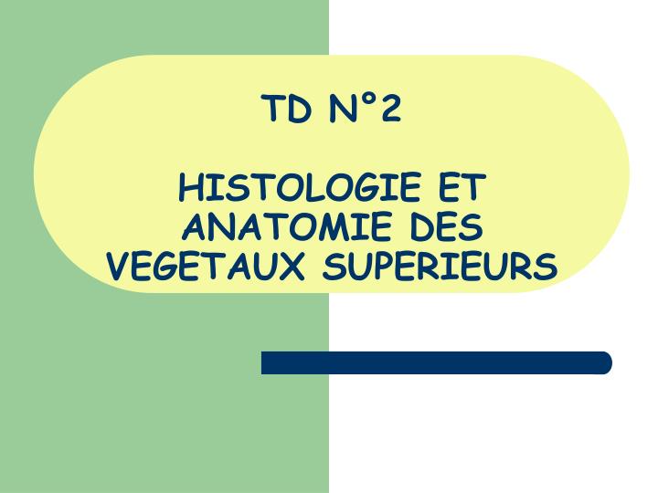 td n 2 histologie et anatomie des vegetaux superieurs