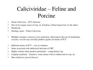 Caliciviridae – Feline and Porcine