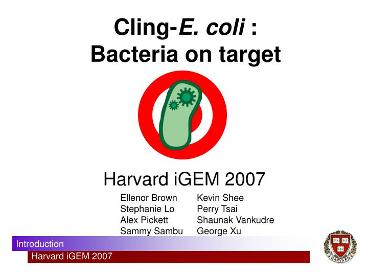 cling e coli bacteria on target