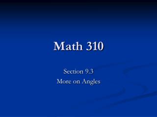 math 310