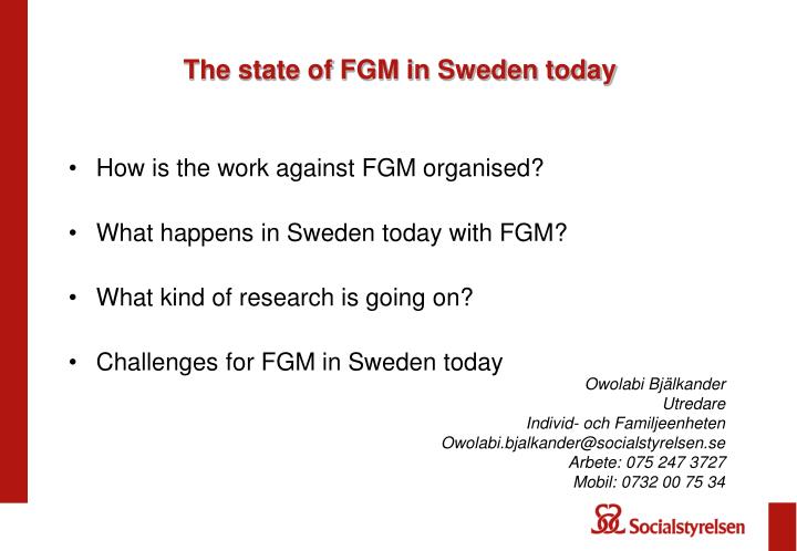 the state of fgm in sweden today