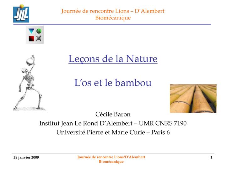 le ons de la nature l os et le bambou