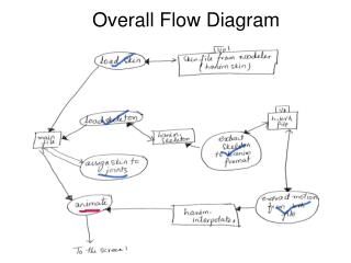 Overall Flow Diagram