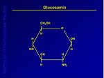 Efficacy of Glucosamine in Osteoarthritis Treatment: Insights from Recent Research - slide 1