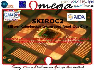 SKIROC2 Silicon Kalorimeter Integrated Read-Out Chip