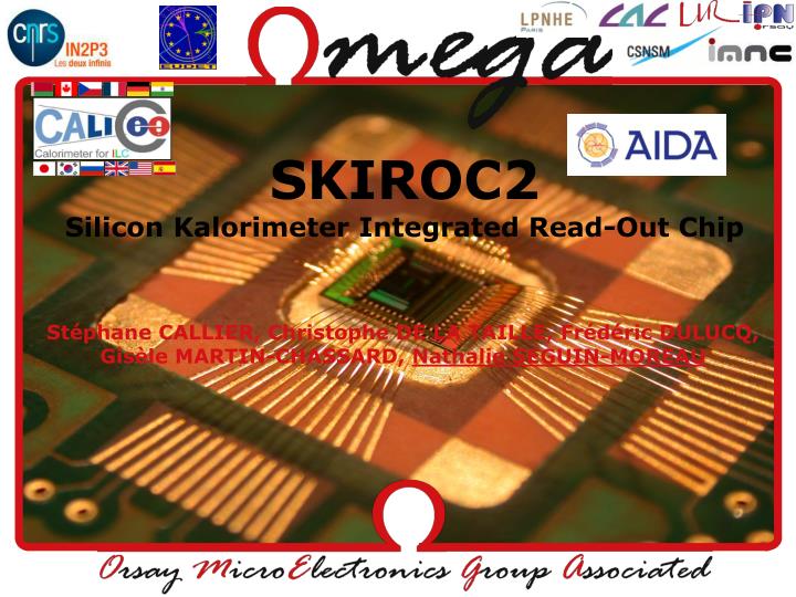 skiroc2 silicon kalorimeter integrated read out chip