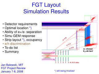 FGT Layout Simulation Results